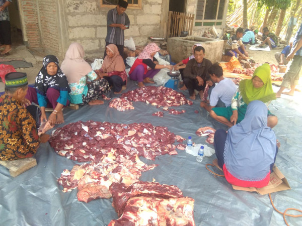 Pembagian daging hewan Qurban