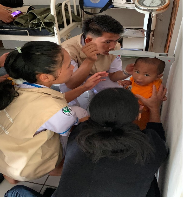 Pelaksanaan Posyandu