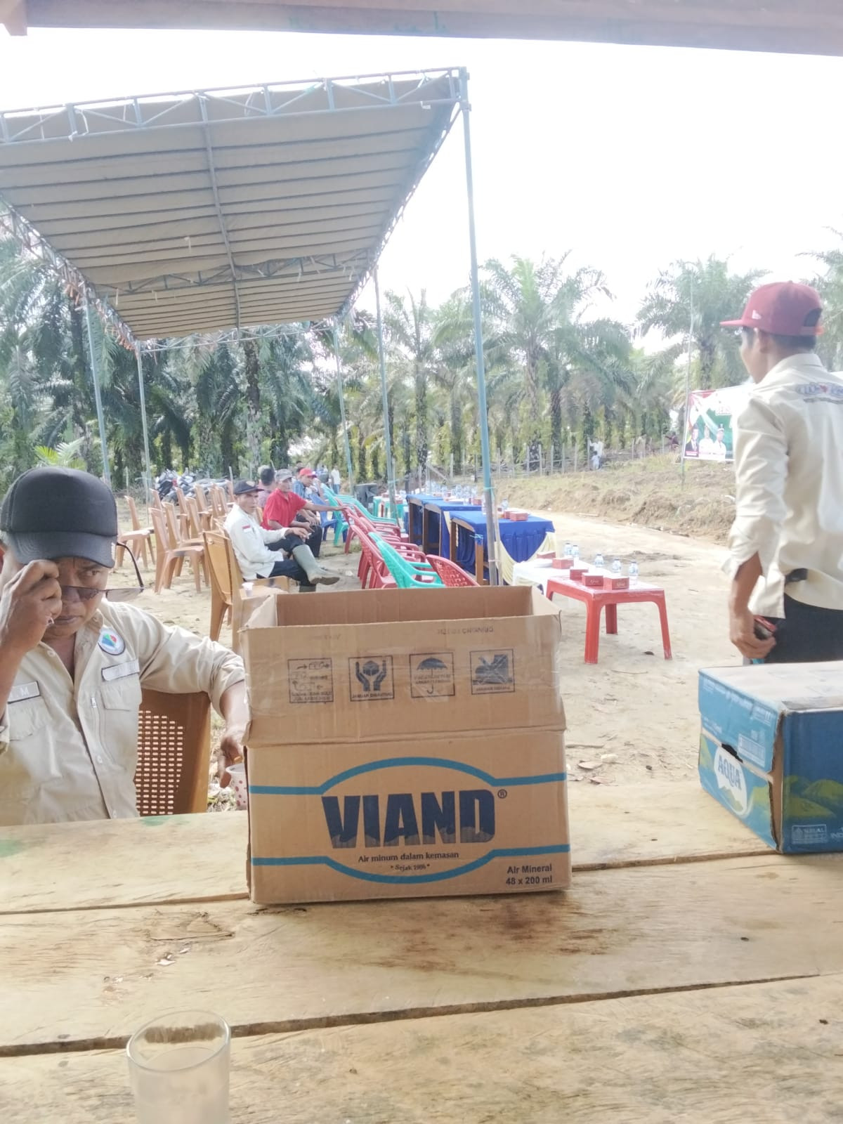 Penanaman bibit jagung bersama, Sungai Keramat, 7 Juni 2025
