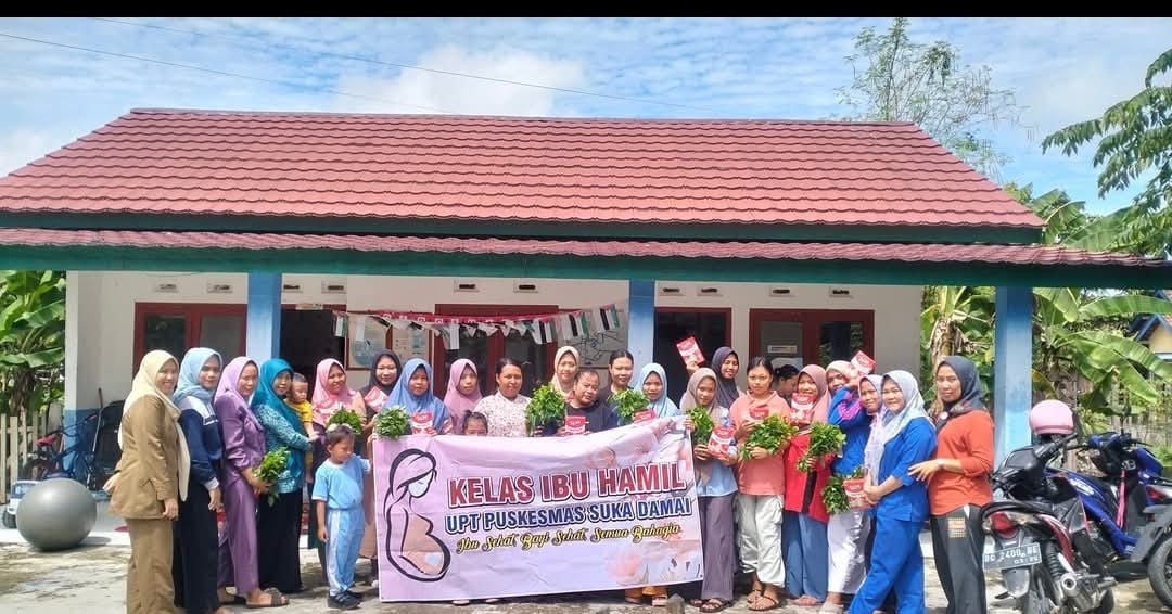 posyandu  ibu hamil desa suka damai