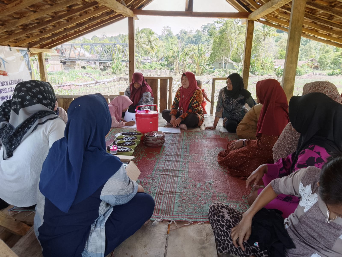 Pembinaan ibu hamil