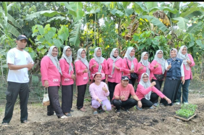 Penanaman di K3 desa