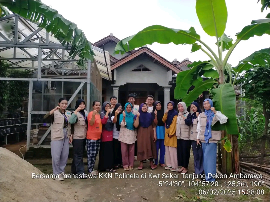 Tabur bibit sawit dan kangkung