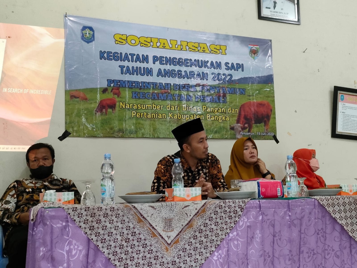 Sosialisasi Kegiatan Penggemukan Sapi Tahun 2022 dalam Program Ketahanan Pangan