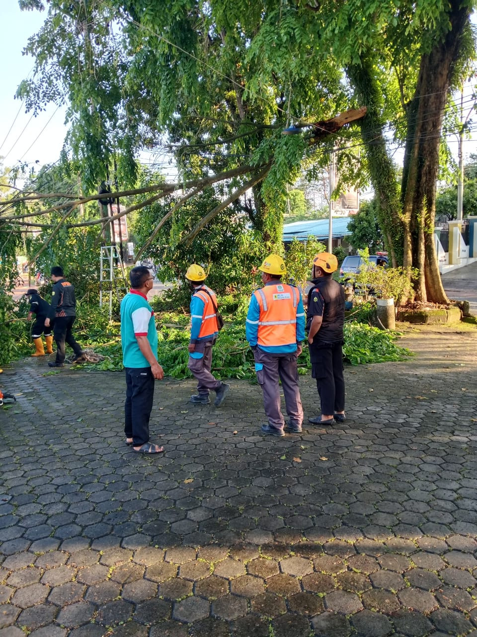Gotong-royong Membersihkan Pohon Di Jalan Utama Kelurahan Pinang Kencana Bersama Lurah Pinang Kencana, BPBD Kota Tanjungpinang, PLN  , Rt RW, Dan Warga Bertempat Di Kelurahan Pinang Kencana