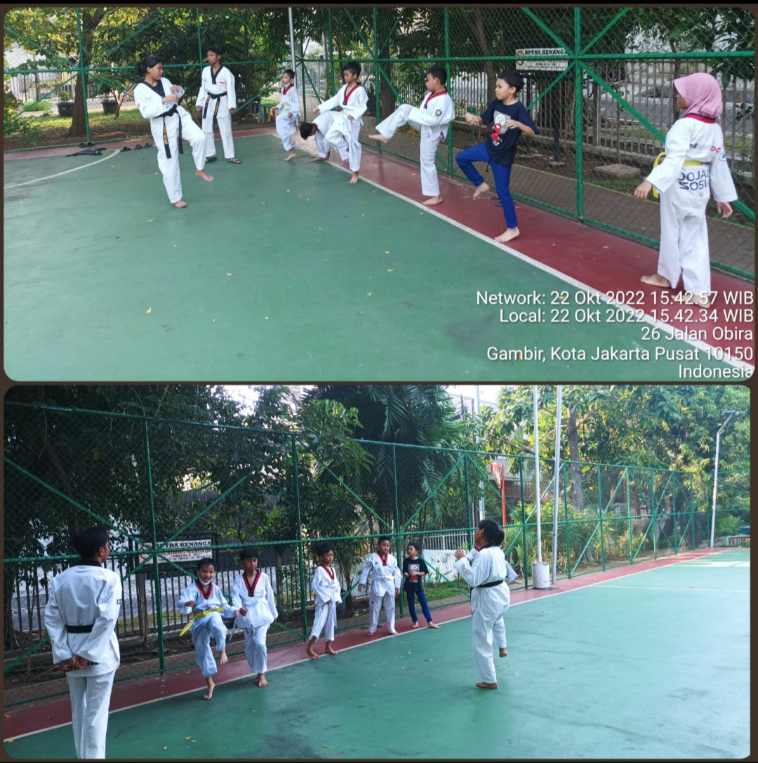 Olahraga beladiri taekwondo
