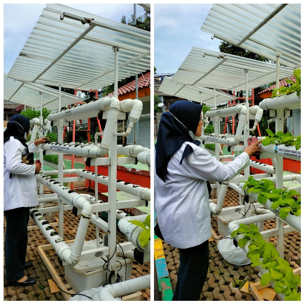 Monitoring Tanaman Hidroponik