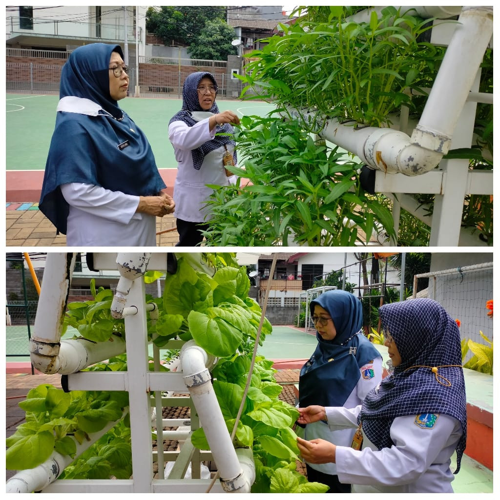 Monitoring Tanaman Hidroponik