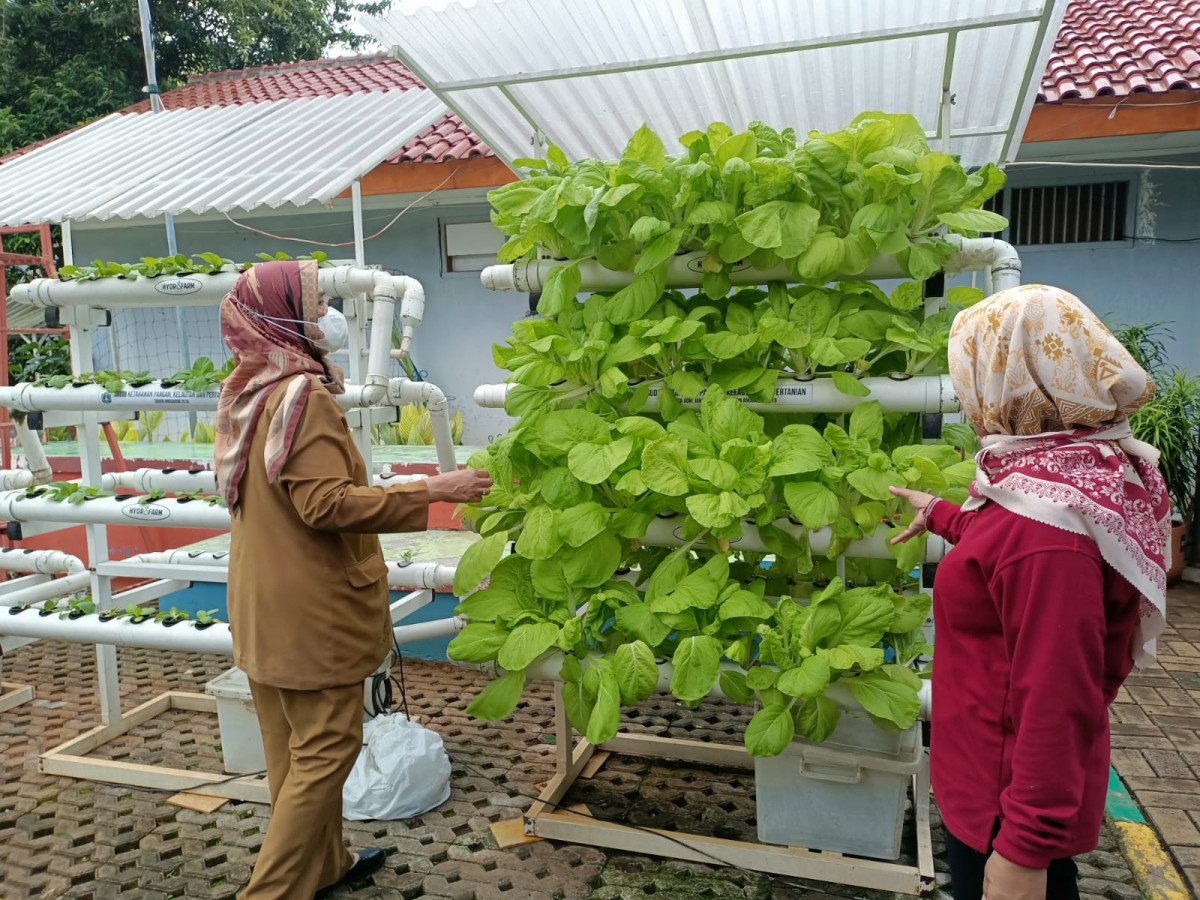 Monitoring hidroponik dan kolam gizi
