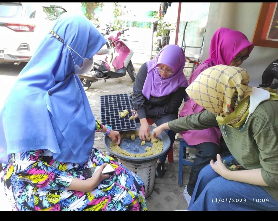 Penyemaian Bibit Kangkung Hydroponik