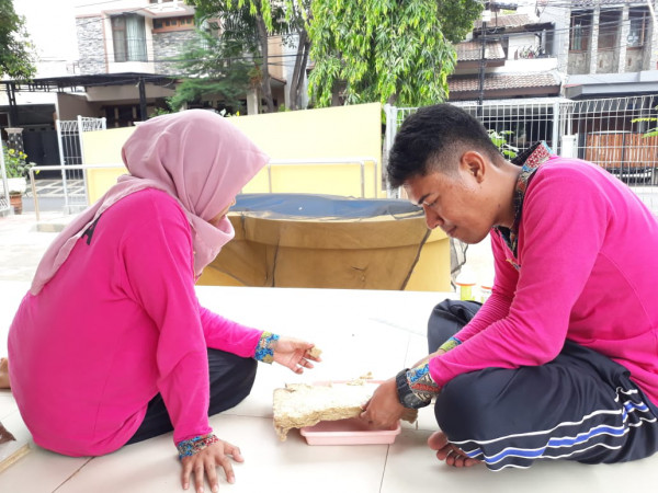 Kegiatan menyemai bibit di hidroponik