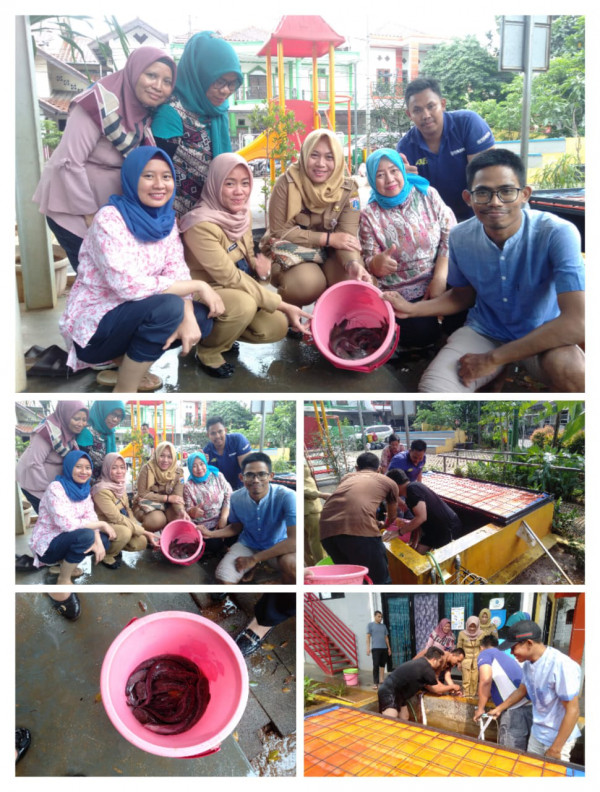 Panen Ikan Lele  kolam gizi