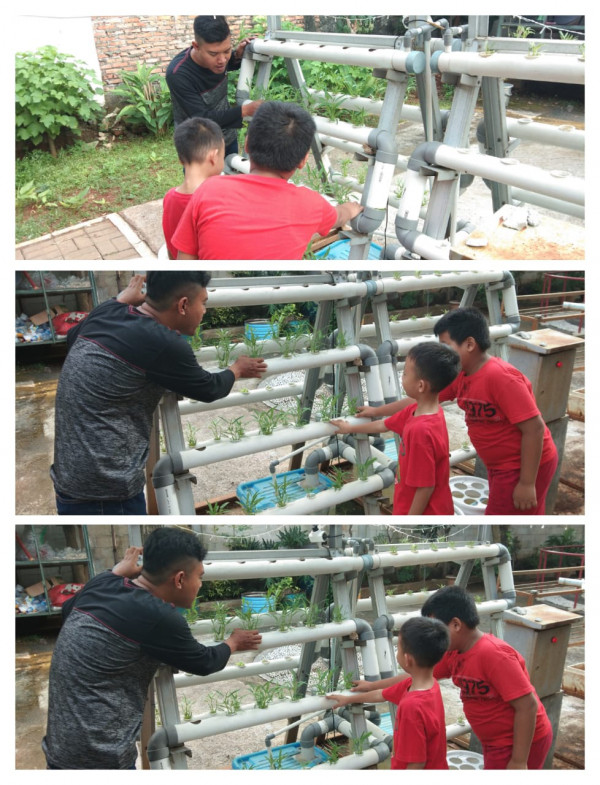 Edukasi Hydroponik 