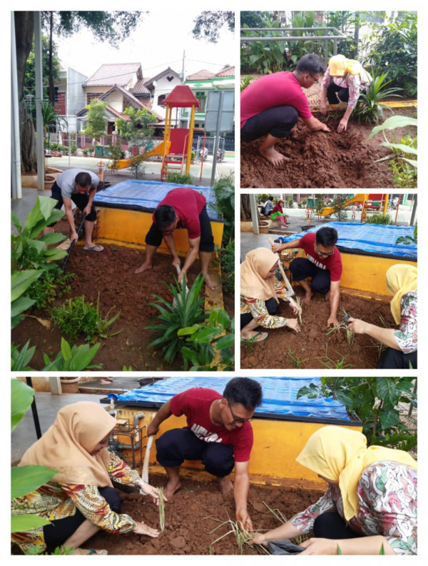 Menanam Tanaman Obat Keluarga (TOGA)