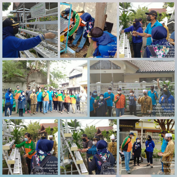 Kegiatan Penanaman tanaman RT 0803 Dan Penebaran Benih ikan Nila RT 1603 dalem rangka Hari lingkungan Hidup Sedunia