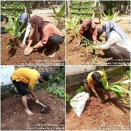 Giat pengelola menanam Tanaman Jahe merah,  kunyit hitam, dan Temu lawak di RPTRA Kampung Benda.