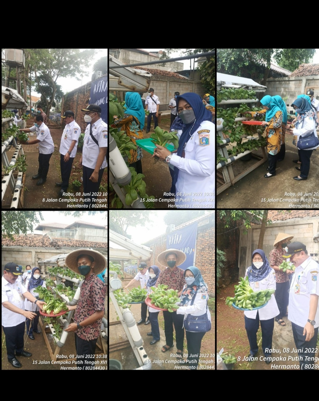 Kegiatan panen di rptra kampung benda