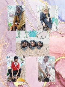 Kegiatan pengelola menyemai bibit rosela di RPTRA Anggrek