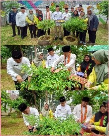 Kegiatan Panen Cabai di RPTRA Anggrek