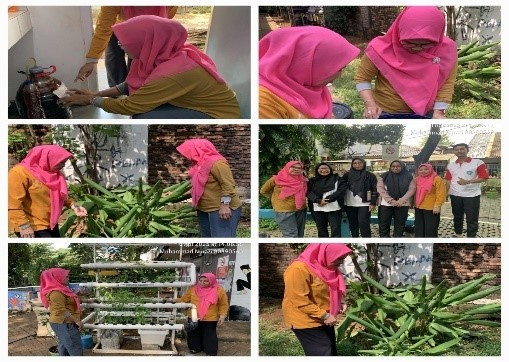 Pemantauan Rptra oleh PKK Kel CPT Ibu Hj. Sutari dan Ibu Endang