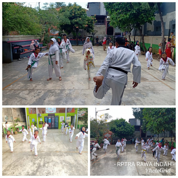 Olah Raga Seni Beladiri Tae Kwon Do