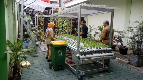 Meninjau lokasi hidroponik di lingkungan sekolah