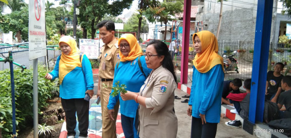 Penanaman Tanaman Hidroponik