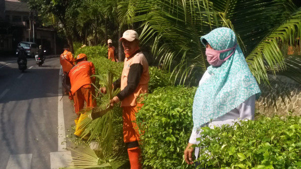 Kasi Prasum Monitor Tanaman diRW003