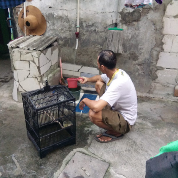 JUMANTIK MANDIRI RW 05