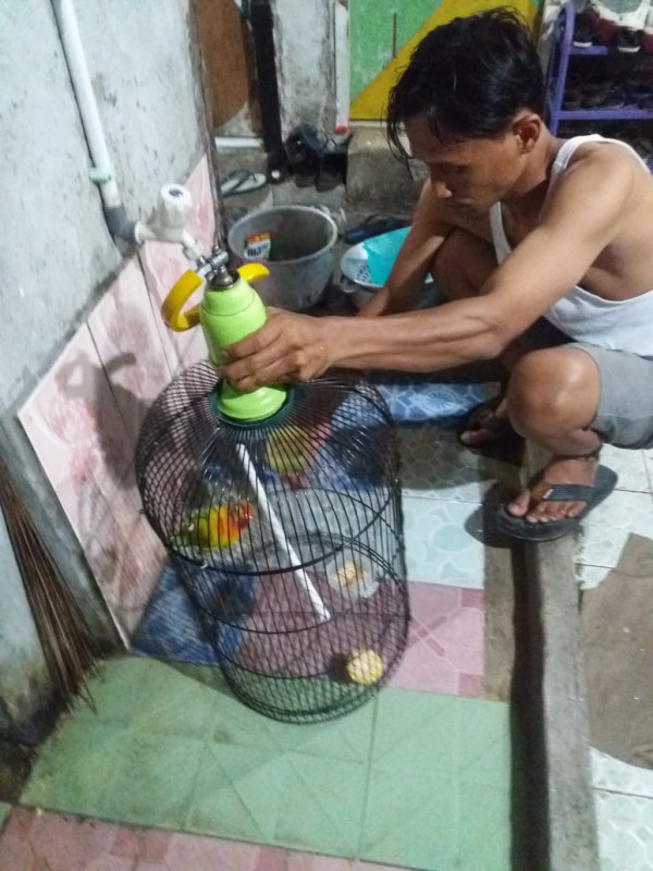 PSN Jumantik Mandiri