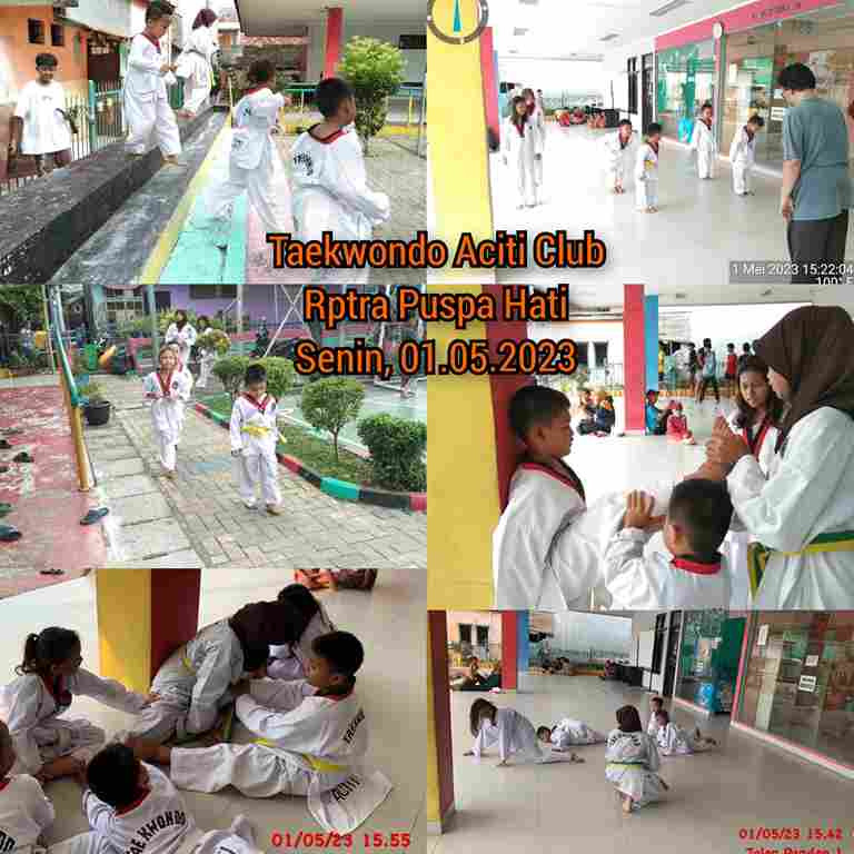 Taekwondo ACITI Club
