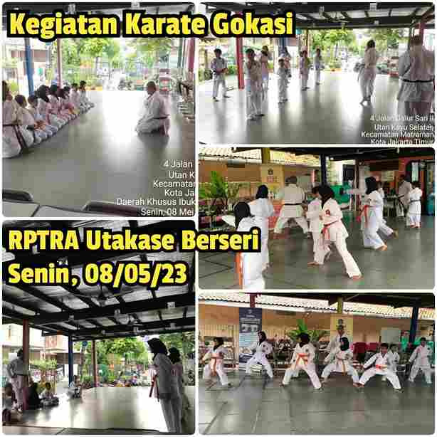 Karate Gokasi