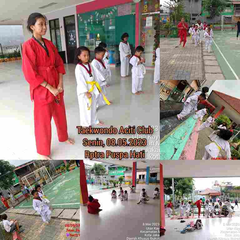 Taekwondo ACITI Club