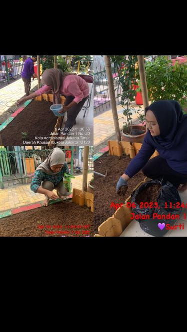 Pengelola Menanam Bibit Kangkung