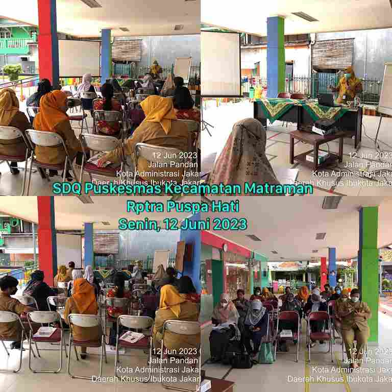 SDQ Puskesmas Kecamatan Matraman