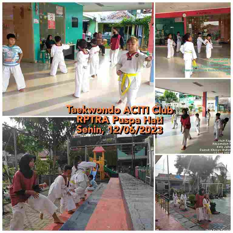 Taekwondo Aciti Club