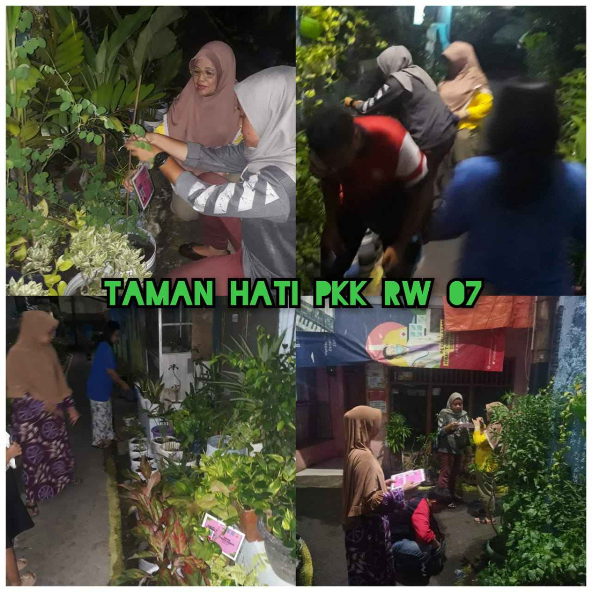 Menempelkan barcode tanaman ke RW yang mengikuti lomba Pokja 3 Hatinya PKK