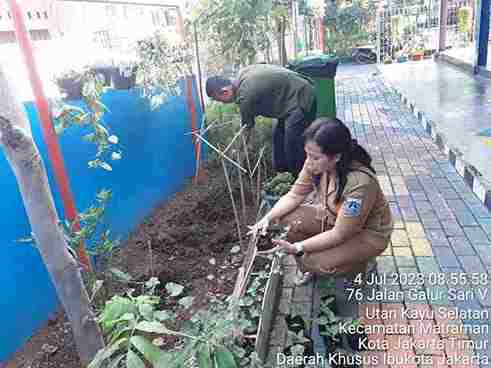 Penanaman Cabe bersama Sudin KPKP Kecamatan Matraman