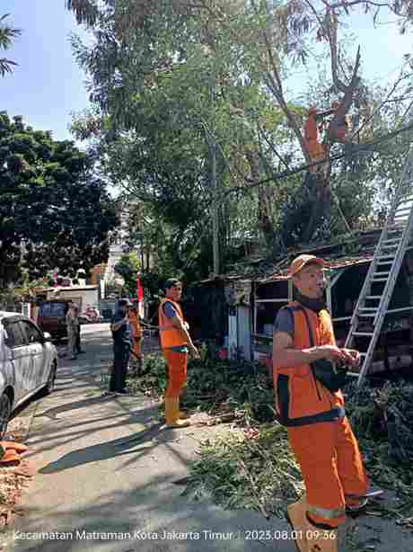 Monitor dan koordinasi penopingan pohon dan koordinasi cek sumur resapan dgn pengurus Rt, lmk di Rt 002/001
