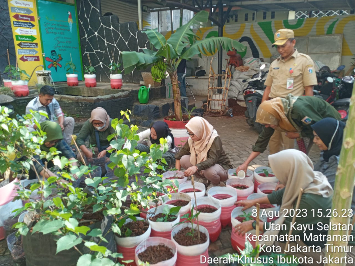 Kegiatan Menanam Pohon Cabe