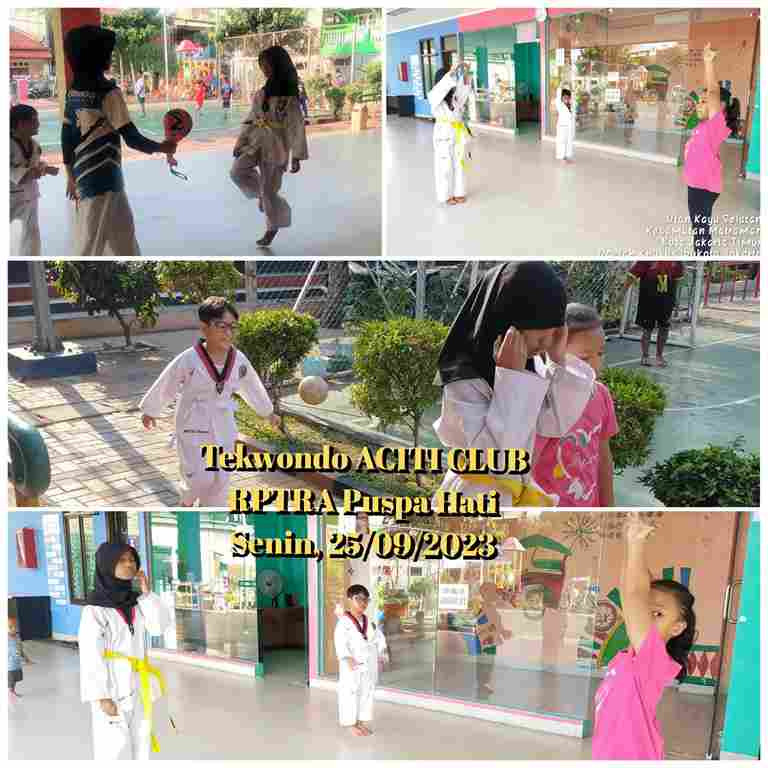 Taekwondo Aciti Club