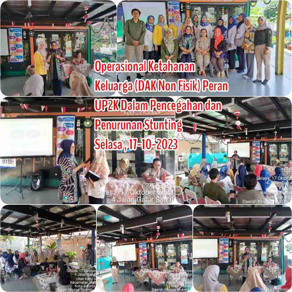 Kegiatan Operasional Ketahanan Keluarga ( DAK Non Fisik) Peran UP2K Dalam Pencegahan dan Penurunan Stunting