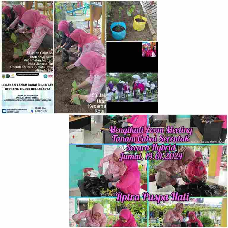 Giat menanam cabe serentak bersama TP. PKK DKI Jakarta