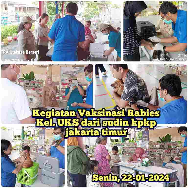Giat Vaksinasi Rabies