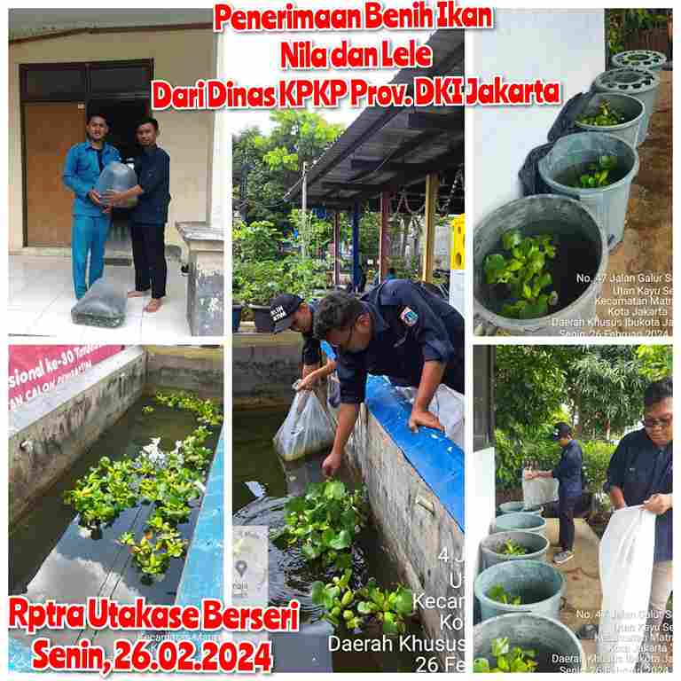 Serah terima Bibit Ikan Lele dan Nila