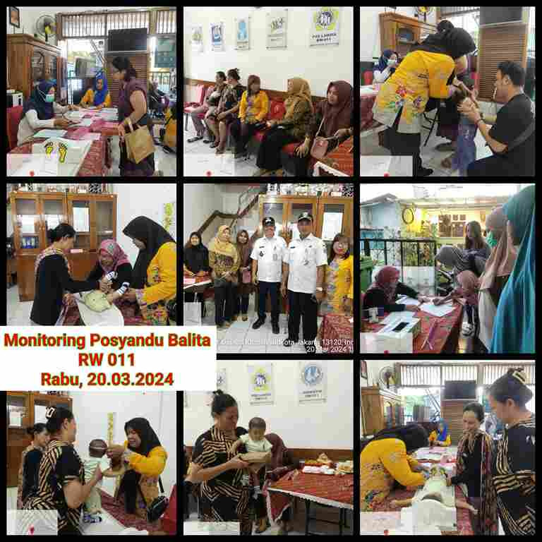 Monitoring Posyandu Balita RW 011