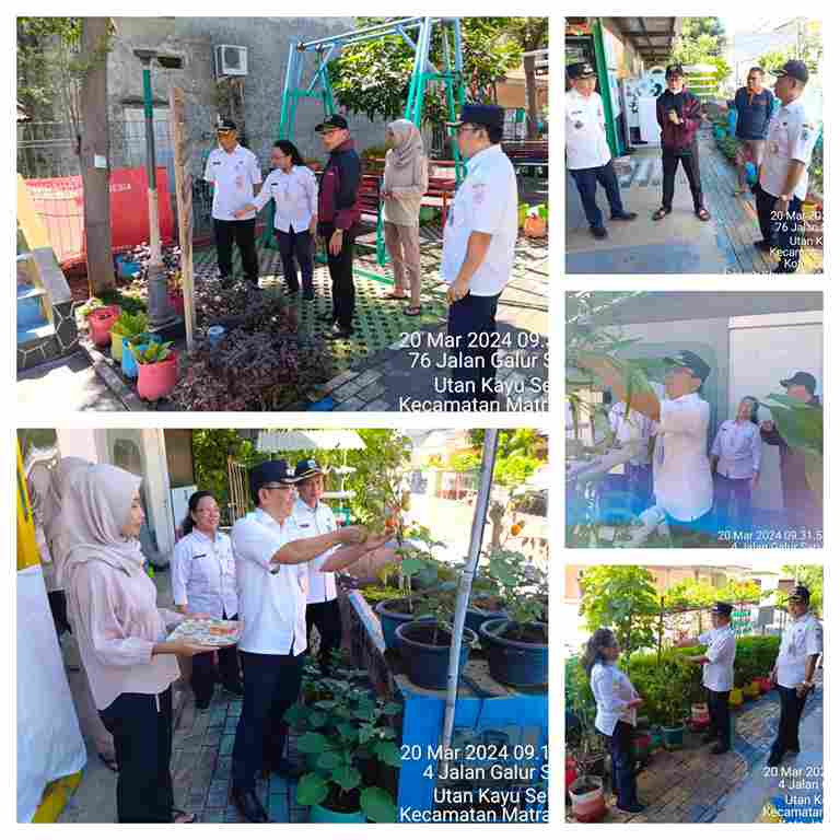 Monitoring dan Panen Bersama Bapak Lurah Kel.UKS