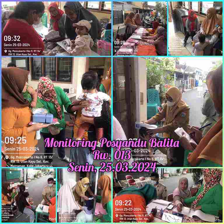 Monitoring Posyandu Balita RW 013