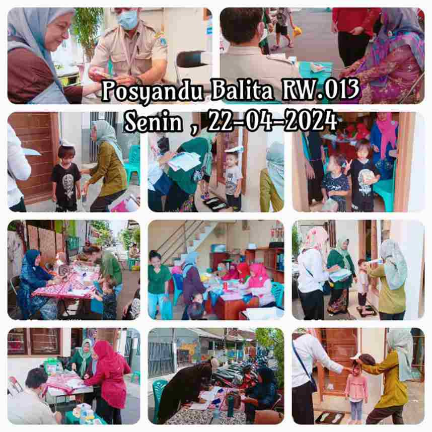 Monitoring Posyandu Balita RW. 013