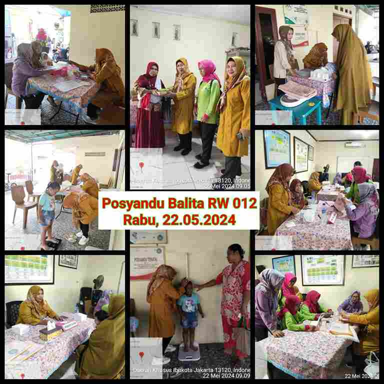 Monitoring Posyandu Balita RW 012